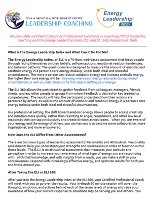 Energy Leadership Index (ELI) and ELI 360 flyer