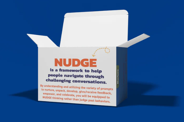 NUDGE Formula Game