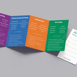 My Strengths Snapshot (Pack of 10)
