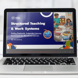 Structured Teaching & Work Systems Course
