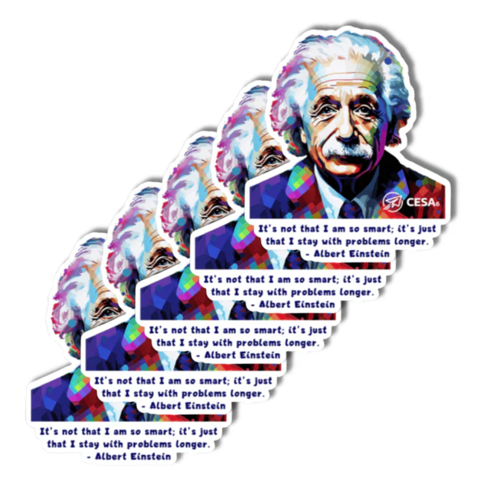 Einstein Stickers