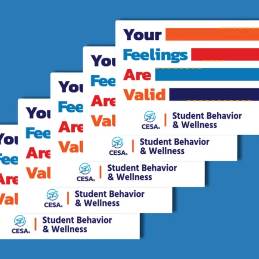 Your feelings are valid